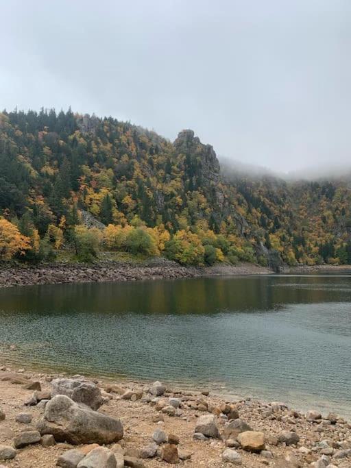 Le Belvedere Du Lac Blanc オルベ エクステリア 写真